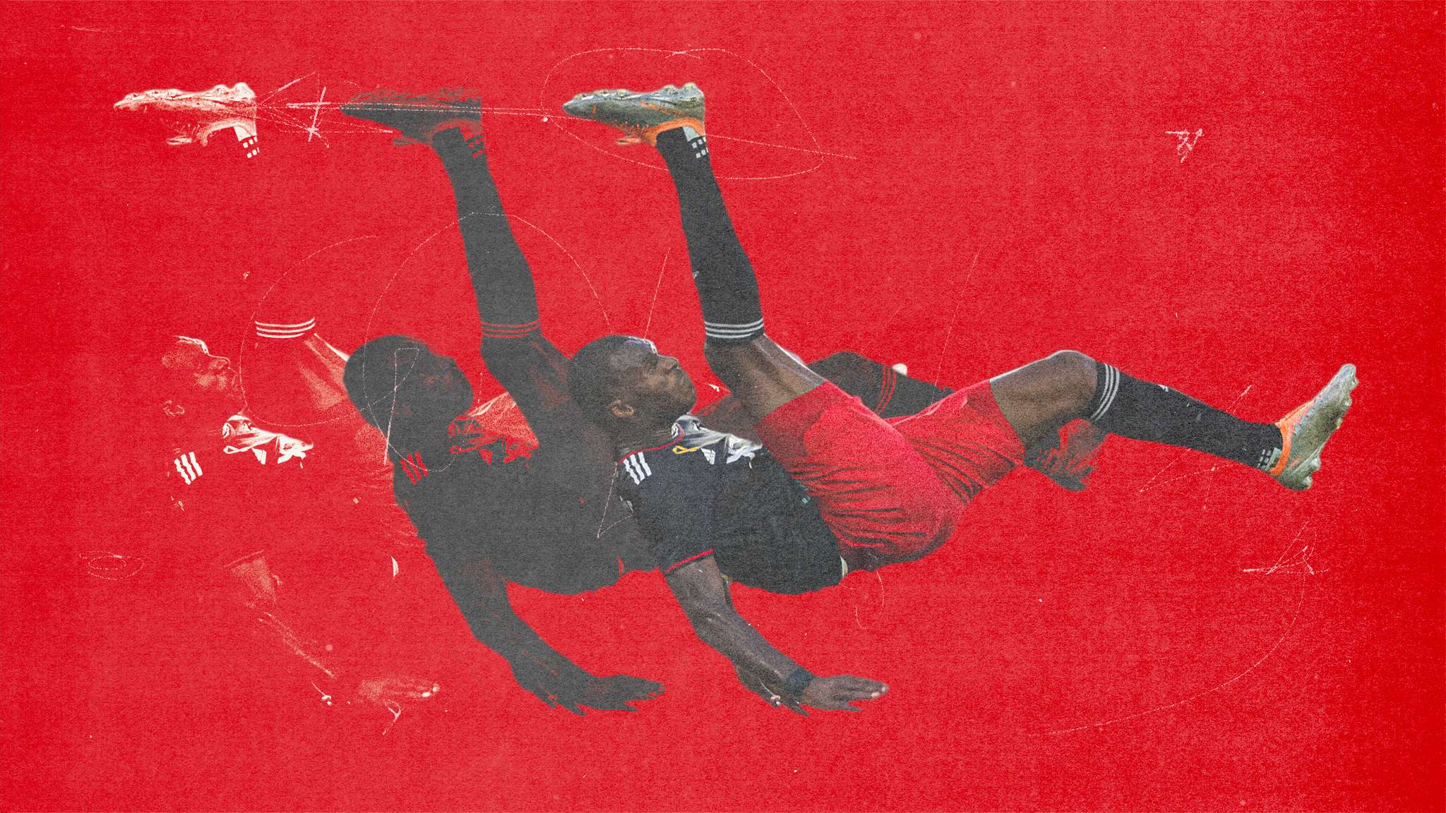 激情在绽放 激情在绽放